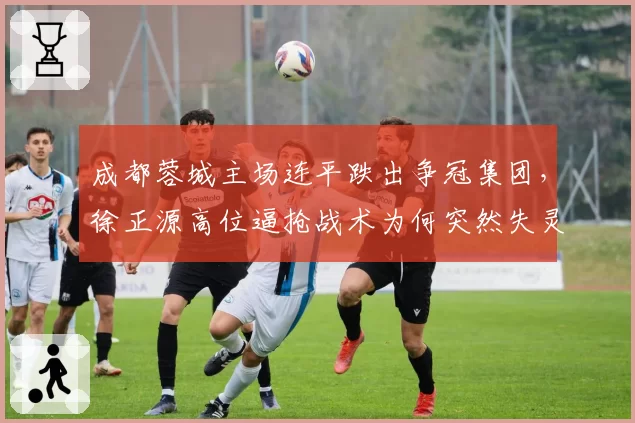 成都蓉城主场连平跌出争冠集团，徐正源高位逼抢战术为何突然失灵？__br_